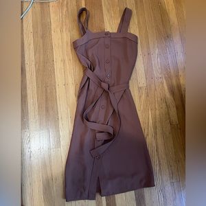 Everlane Midi Dress